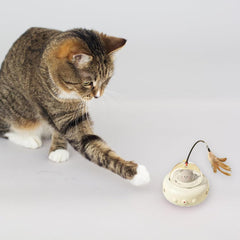Interactive Spaceship Cat Toy