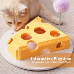 Cheese Cat Puzzle Toy Box
