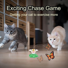 Electric Bird & Butterfly Teasing Cat Toys