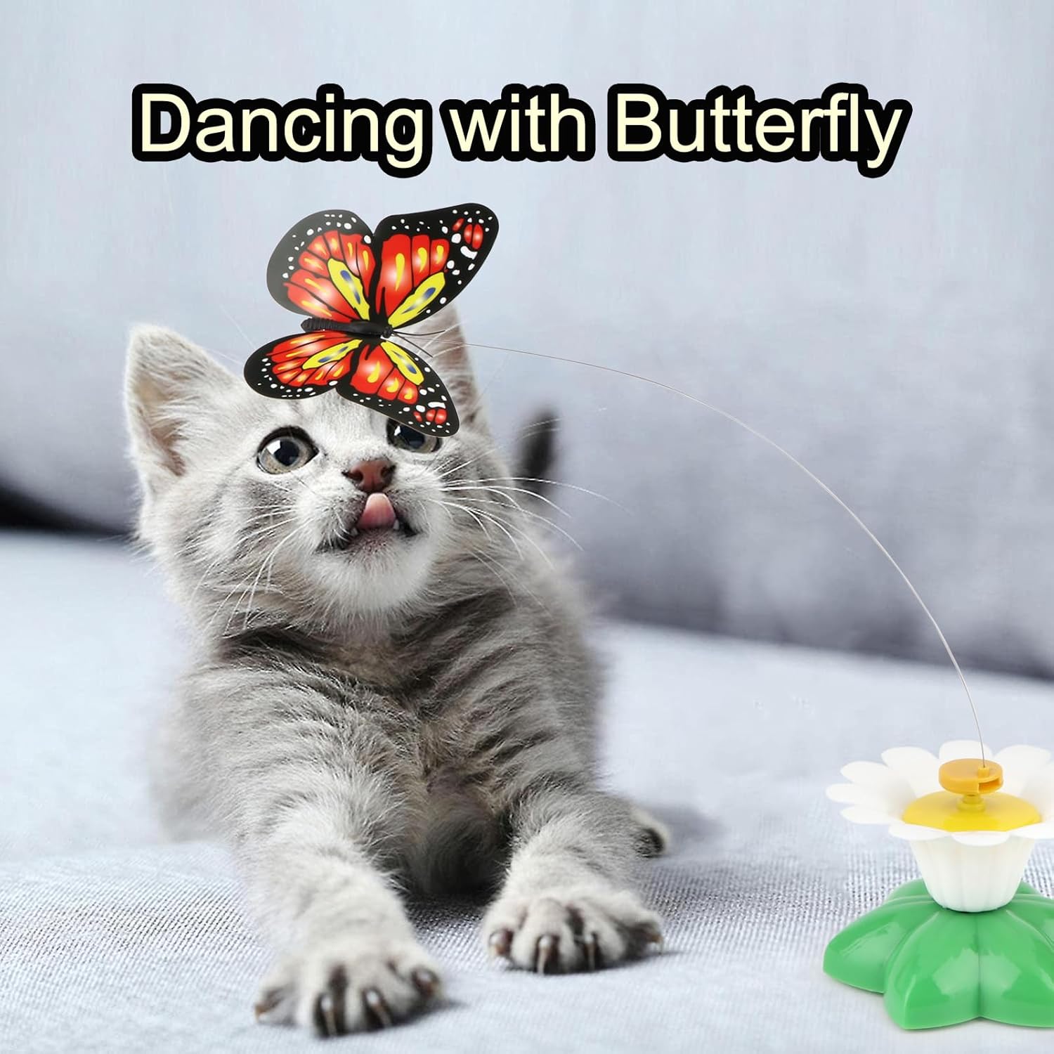 Electric Bird & Butterfly Teasing Cat Toys