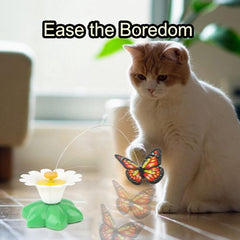 Electric Bird & Butterfly Teasing Cat Toys