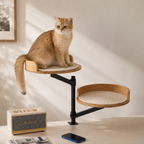 PetNova Cat Desk Bed