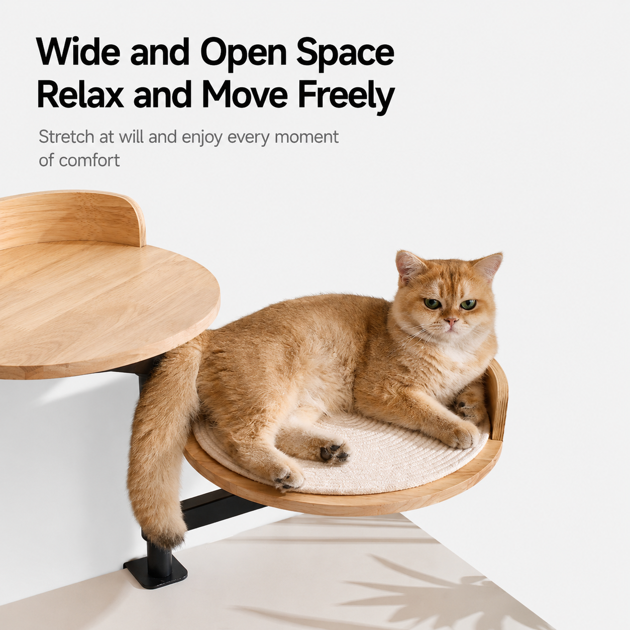 PetNova Cat Desk Bed