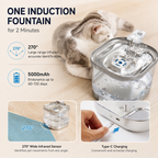 PetNova Automatic Stainless Steel Cat Water Fountain 2L